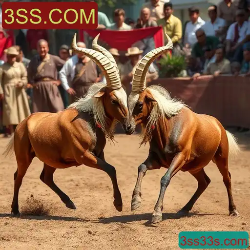 Rinha de galos